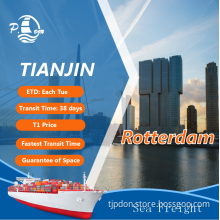 Sea Freight From Tianjin To Rotterdam